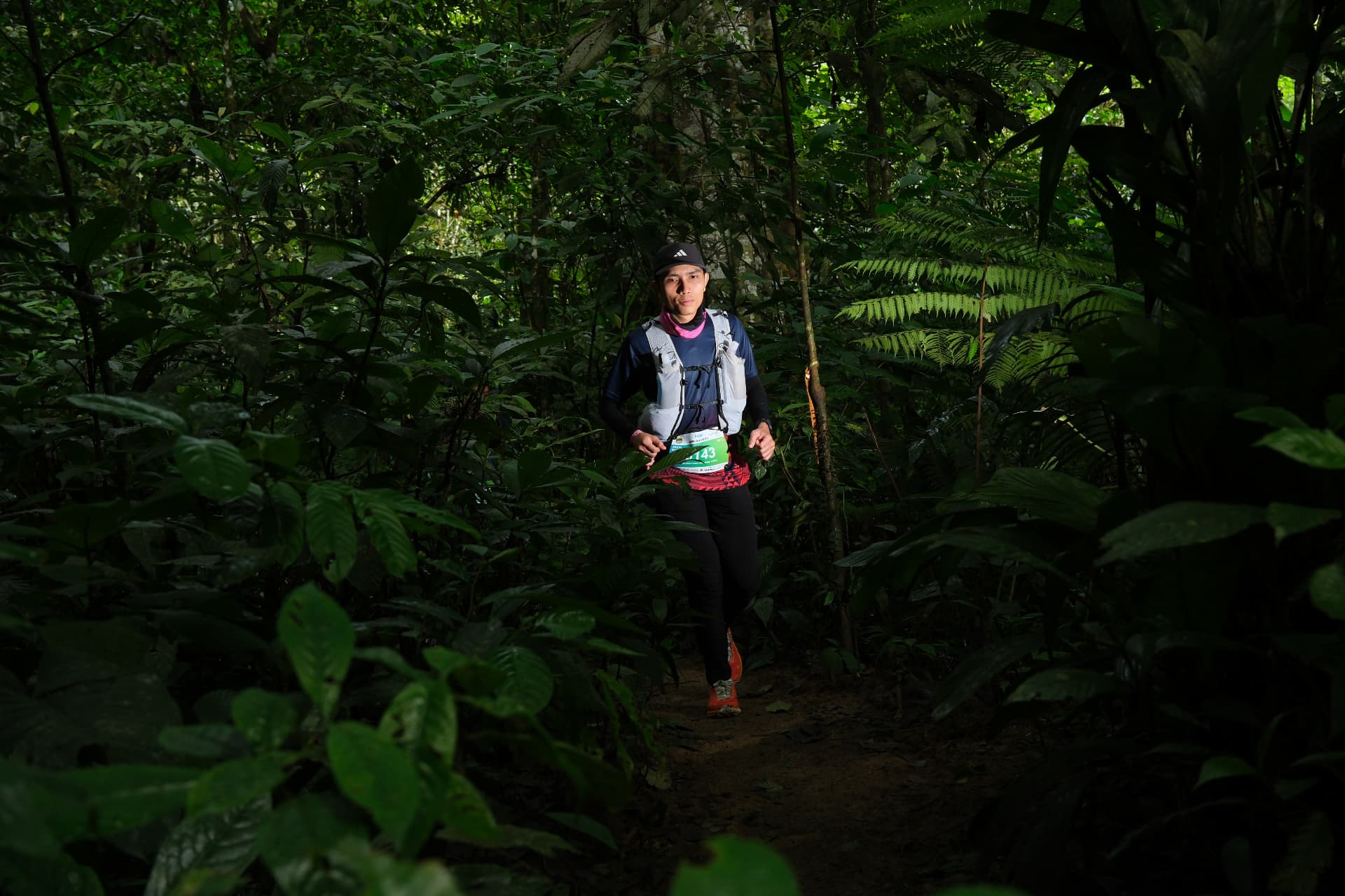 Trail running through dense jungle greenery